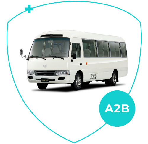 cat-pol23